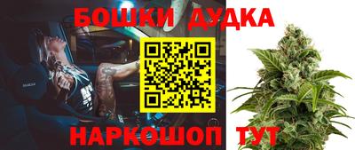 индика Ликино-Дулёво