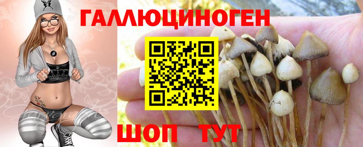 Псилоцибиновые грибы Psilocybine cubensis  Галлюциногенные грибы ЛСД  Ивантеевка  Вход с VPN 